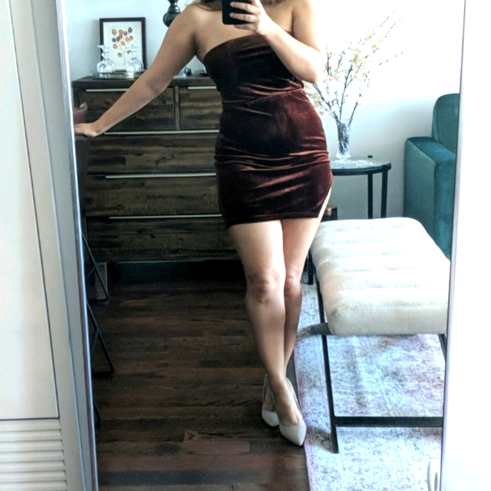 NWT Tobi velvet strapless dress